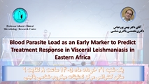 ژورنال